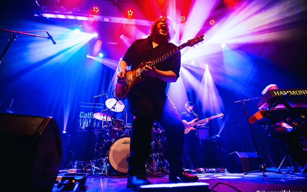 Blues Catfish Electric Palace