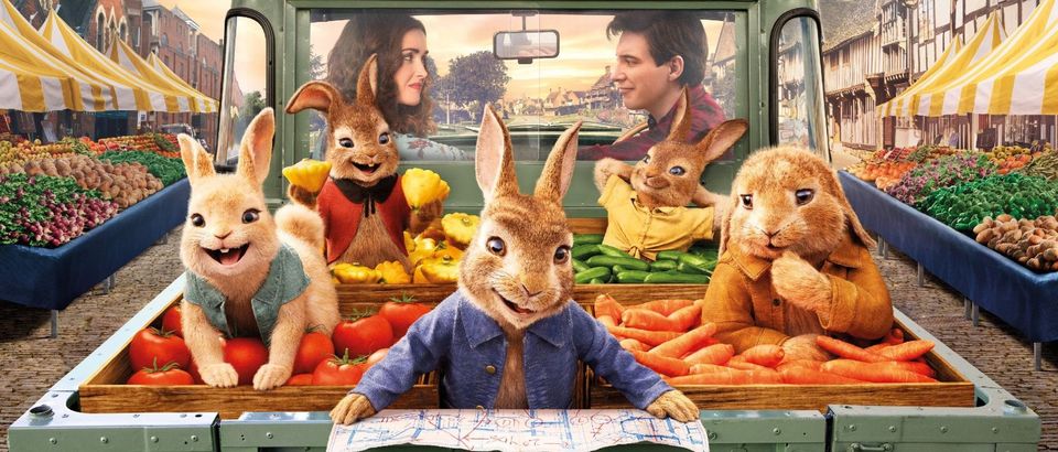 Peter Rabbit 2 : The Runaway (PG) 3