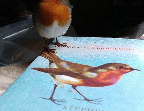 BridLit 2021:Stephen Moss 1