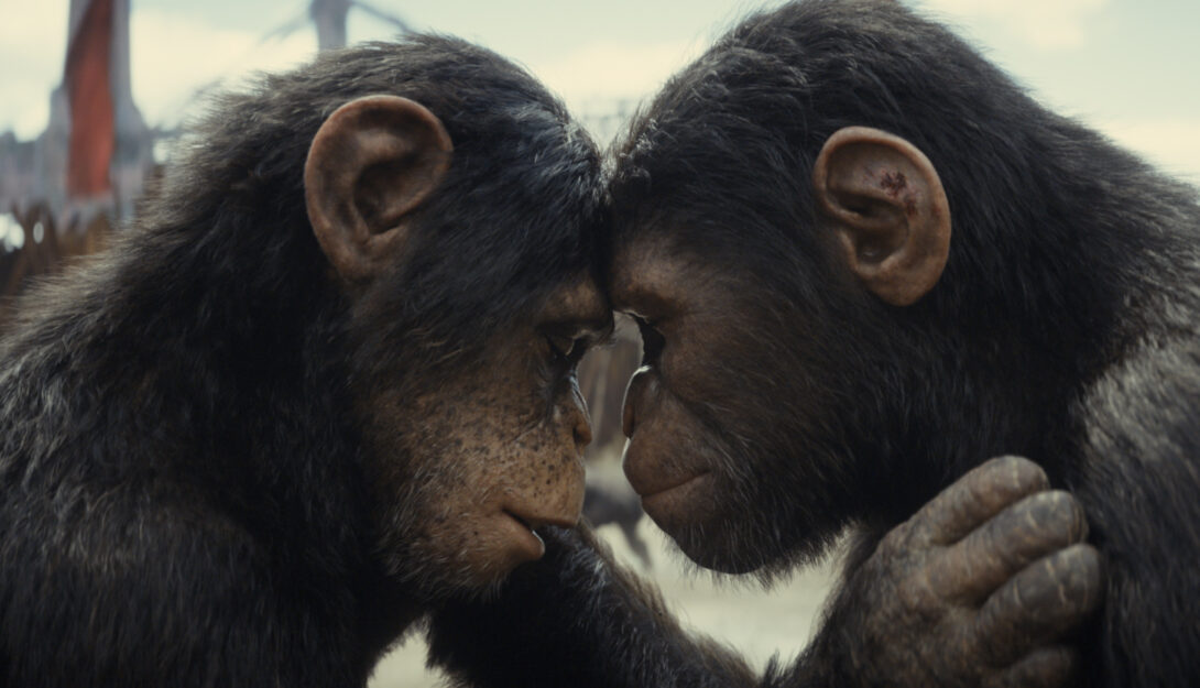 Kingdom of the Planet of the Apes (12) (2024) 145 mins 1