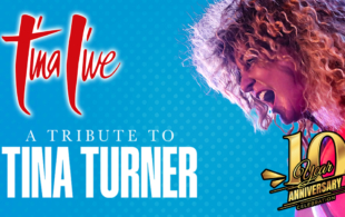 Tina Live: The Tina Turner Experience