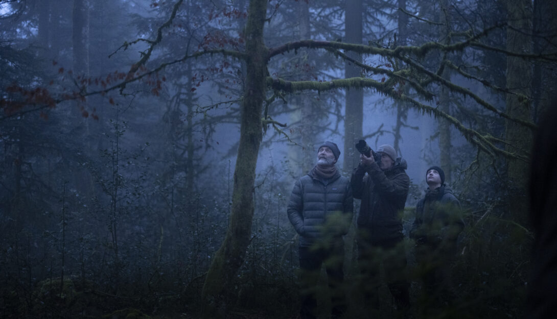 PFF: Preview - Whispers in the Woods (U) 95 mins 1