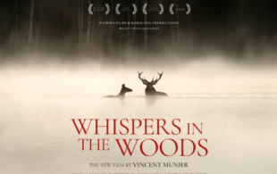 PFF: Preview - Whispers in the Woods (U) 95 mins 4